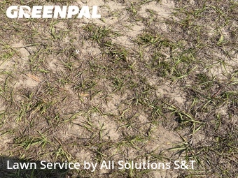 Lawn Cutting nearby Winter Haven, FL, 