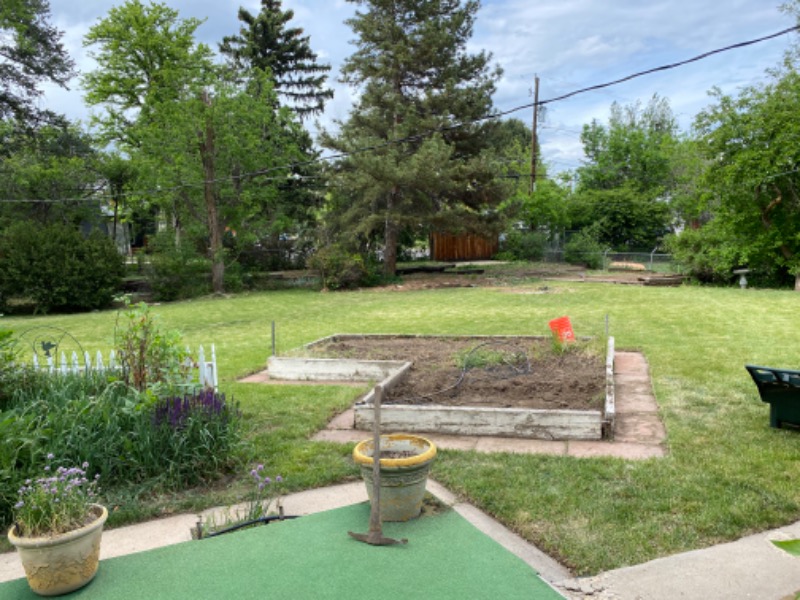 the-yard-cutting-businesses-in-Castle Rock-CO
