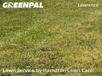 Grass Cut nearby Indianapolis, IN, 