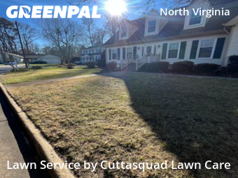 Lawn mowed in Virginia Beach, 23454