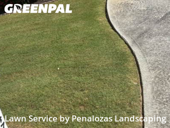 Lawn Care nearby Suwanee, GA, 