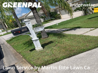 Lawn Mowing nearby Wesley Chapel, FL, 