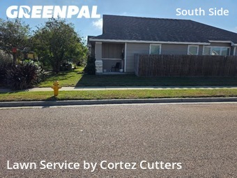 Grass Cut nearby Corpus Christi, TX, 