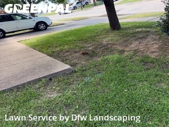 Lawn Cut nearby Princeton, TX, 