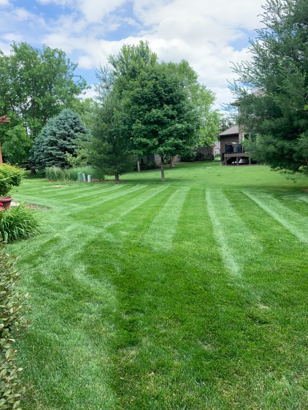 Eli’s Lawn Care Lawn Care Services in Omaha, NE