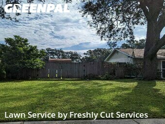 Lawn Cut nearby Valrico, FL, 