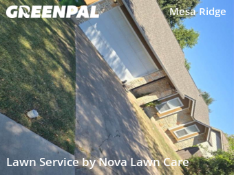 Yard Cutting nearby Round Rock, TX, 