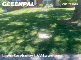 Lawn Cutting nearby Charlotte, NC, 