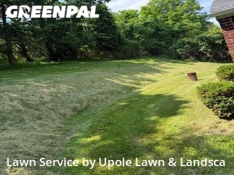 Lawn Mowing nearby Canonsburg, PA, 