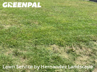 Grass Cut nearby Fort Worth, TX, 