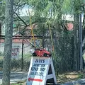 Javis Lawnmower Repair shop 5
