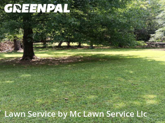 Lawn Maintenance nearby Madison, MS, 