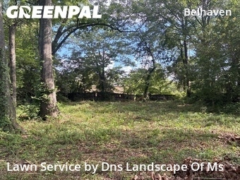 Local Lawn And Landscape Maintenance Services Near Me In Jackson,39202,Landscaping Cleanup by Dns Landscape Of Ms, work completed in Jun , 2026