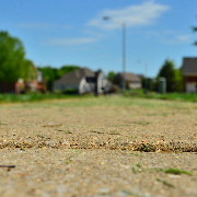 the-yard-cutting-businesses-in-Providence-RI