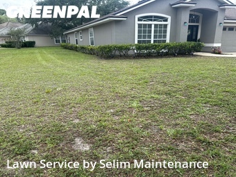 Lawn Cutting nearby St. Augustine, FL, 