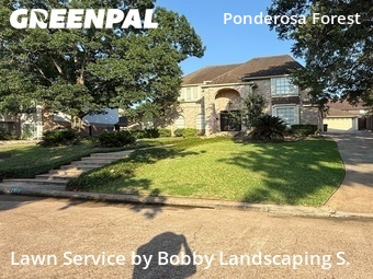 Yard Mowing nearby Houston, TX, 