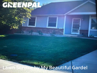 Yard Cutting nearby Thornton, CO, 