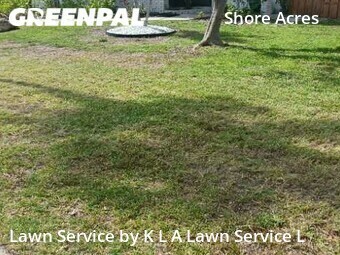 Lawn Service nearby St. Petersburg, FL, 