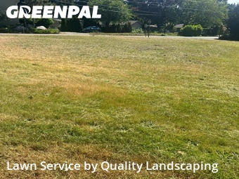 Yard Cutting nearby Lake Forest Park, WA, 