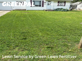 Lawn Maintenance nearby Springfield, MO, 