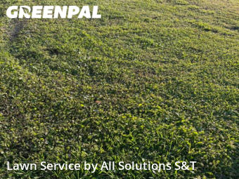 Grass Cut nearby Winter Haven, FL, 