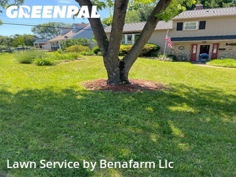 Lawn Mow nearby Rockville, MD, 