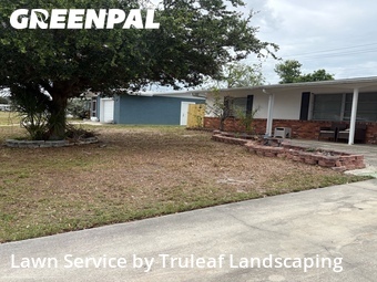 Grass Cutting nearby Bradenton, FL, 