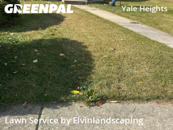 Landscape Design In Baltimore,21229,Landscaping Cleanup by Elvinlandscaping, work completed in Nov , 2025