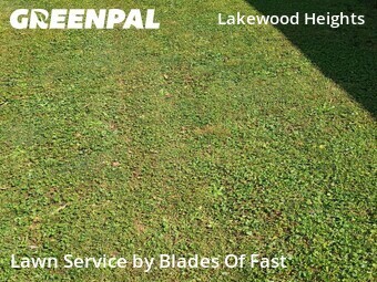 Lawn Maintenance nearby Atlanta, GA, 