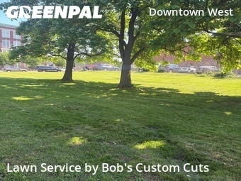 Lawn Care nearby St. Louis, MO, 
