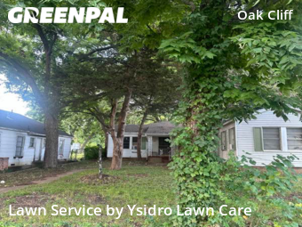 Lawn Mow nearby Dallas, TX, 