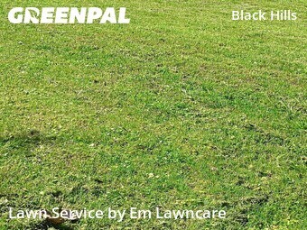 Lawn Cutting nearby Grand Rapids, MI, 