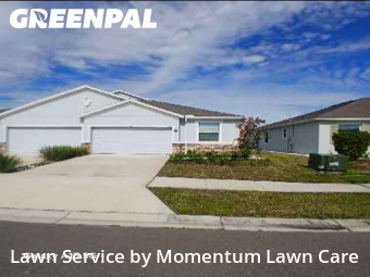 Lawn Maintenance nearby Wesley Chapel, FL, 
