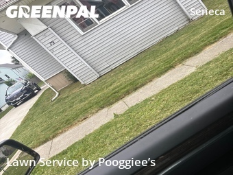 Grass Cutting nearby Buffalo, NY, 