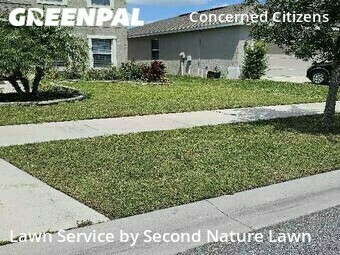 Lawn Cut nearby Gibsonton, FL, 