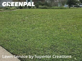 Yard Cutting nearby Spring Hill, FL, 