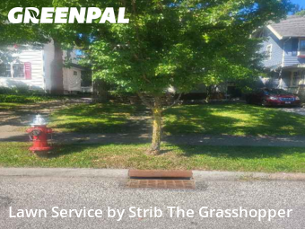 Lawn Carein Lakewood,44107,Lawn Cutting by Strib The Grasshopper, work completed in Nov , 2025