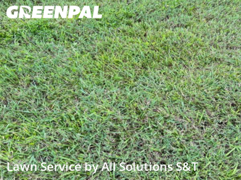 Grass Cut nearby Winter Haven, FL, 