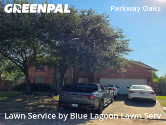 Lawn Mow in Katy, 77494, Lawn Care Service by Blue Lagoon Lawn Serv, work completed in 29 Nov, 2025 