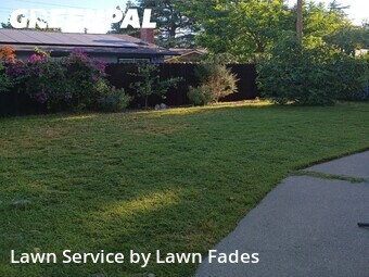 Lawn Maintenance nearby Davis, CA, 
