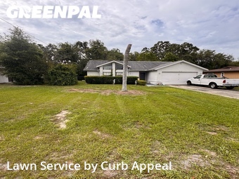 Grass Cut nearby Spring Hill, FL, 