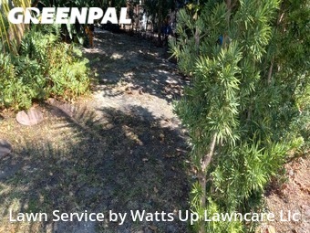 Grass Cutting nearby Hollywood, FL, 