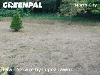 Lawn Cutting nearby Shoreline, WA, 