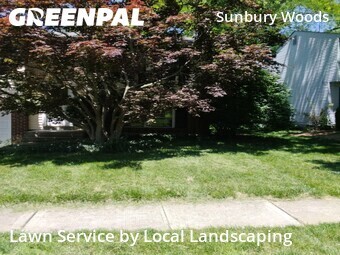 Grass Cutting nearby Westerville, OH, 
