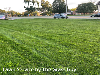 Lawn Care Service nearby Uniontown, OH, 