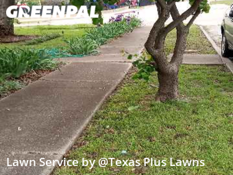 Lawn Mowing nearby Wylie, TX, 