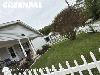 Yard Upkeep in Middle River, 21220, Yard Care Services by Moreira G, work completed in Nov , 2025