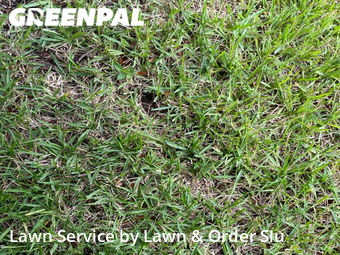 Lawn Mowing nearby Plantation, FL, 