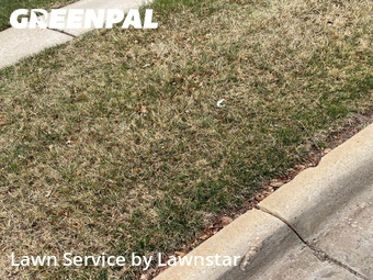 Commercial Landscaping In Amarillo,79121,Landscape Design by Lawnstar , work completed in Apr , 2026