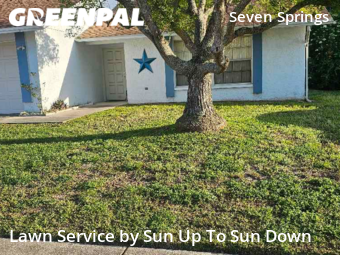 Grass Cutting nearby New Port Richey, FL, 